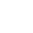 V4